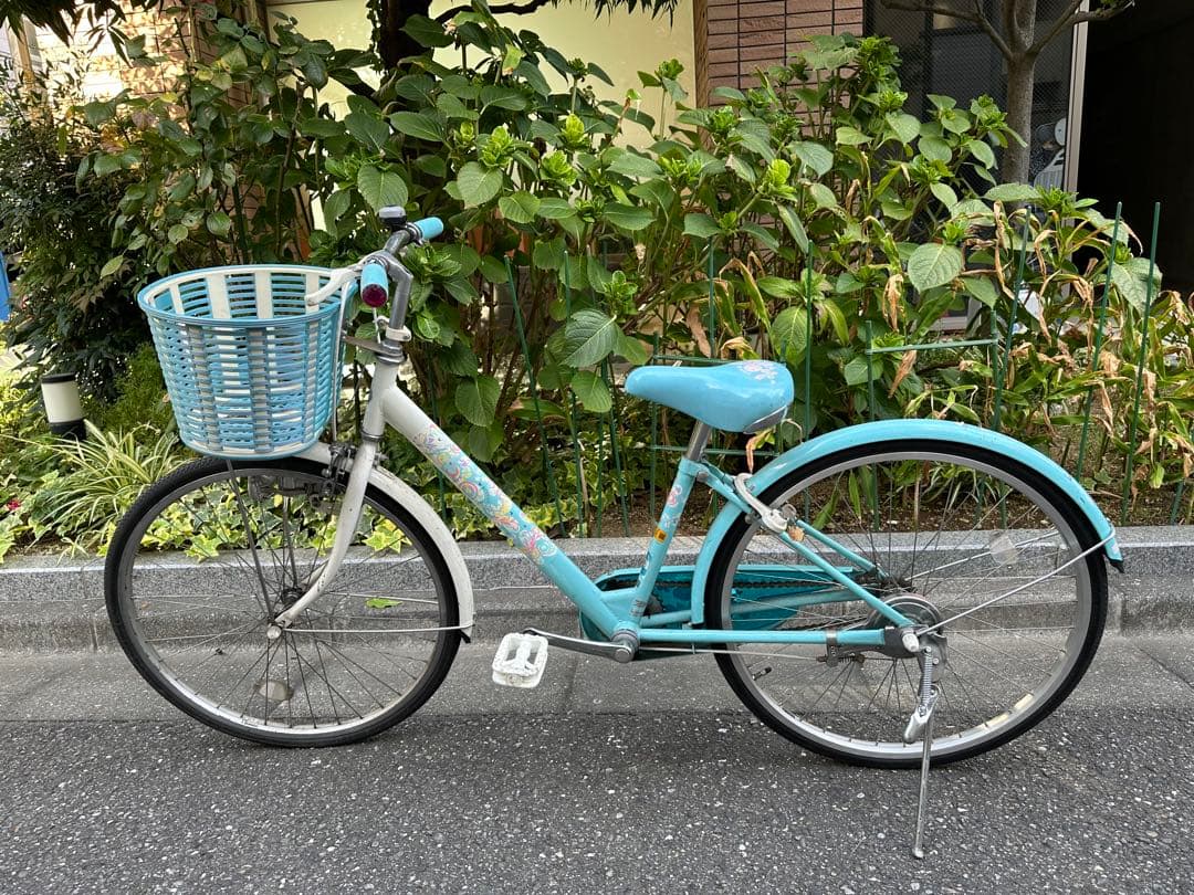 文京区引き取り限定です⭐︎ 水色 ブリヂストン ECOPAL グリーン 24インチ