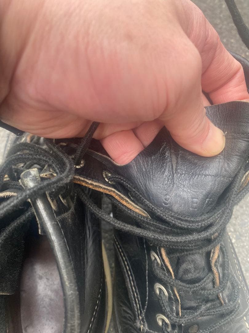 REDWING レッドウイング8179 犬タグ アイリッシュセッター9E 27㌢