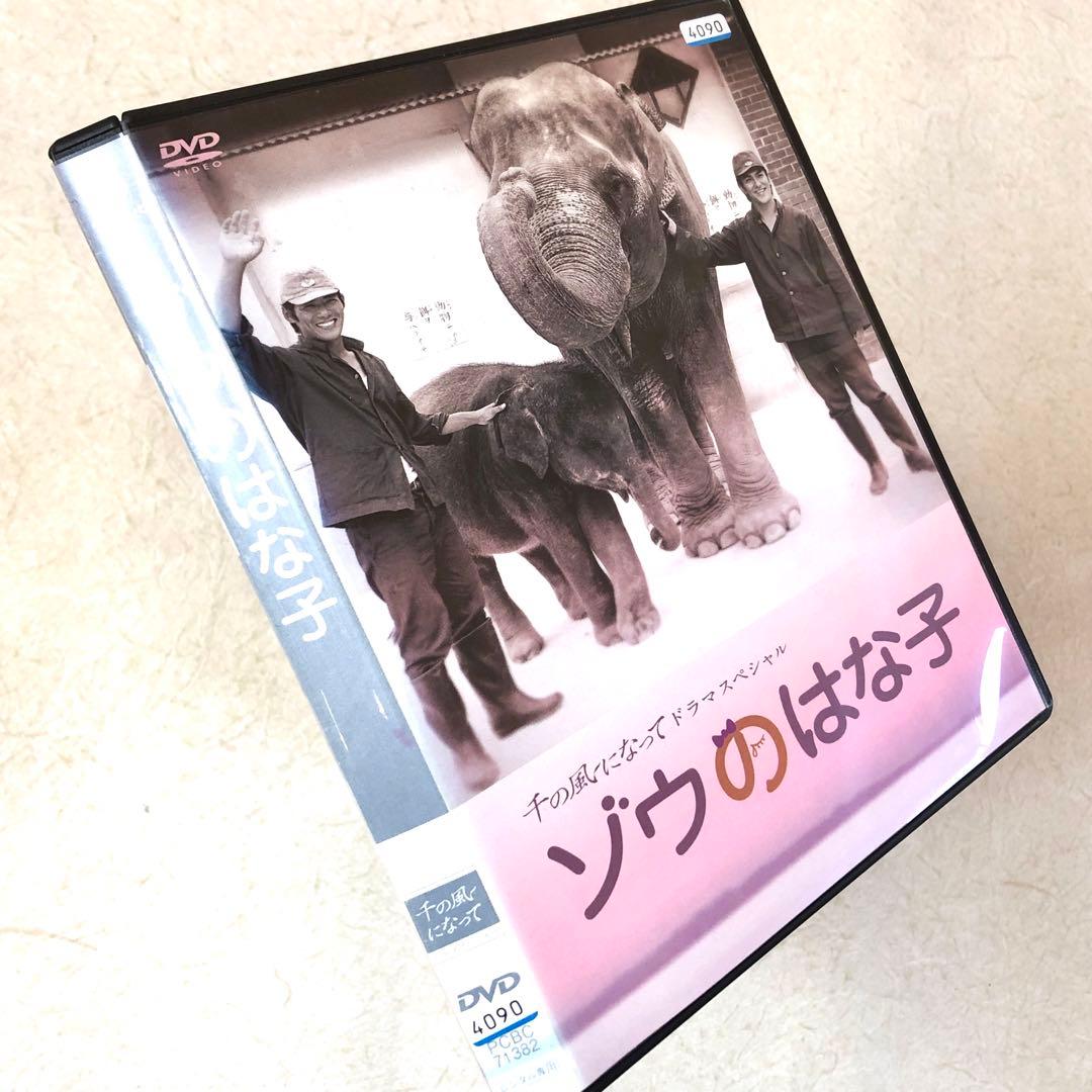 千の風になってドラマスペシャル 「ゾウのはな子」 DVDレンタル落ち