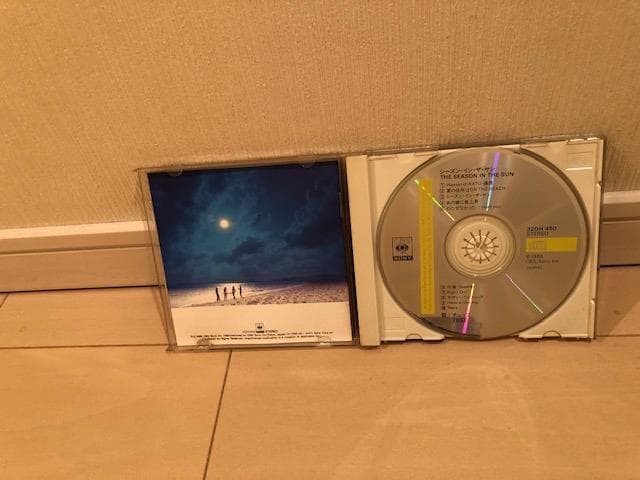 邦楽 TUBE/THE SEASON IN THE SUN