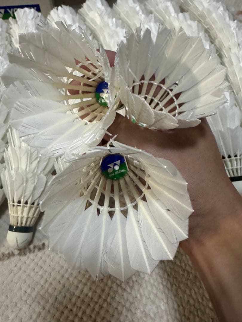 ニューオフィシャル　3番　ノックシャトル