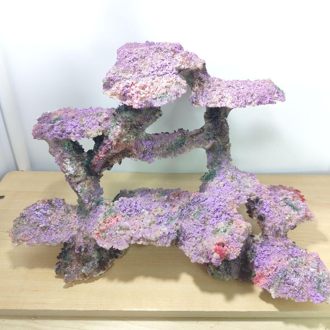❖新品アク抜き不要 人工ライブロック 60cm海水水槽用 レプリカ 多孔質安い2