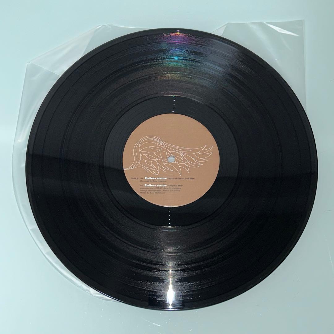 浜崎あゆみ　レコード　AUDIENCE　NEVER EVER　Endless