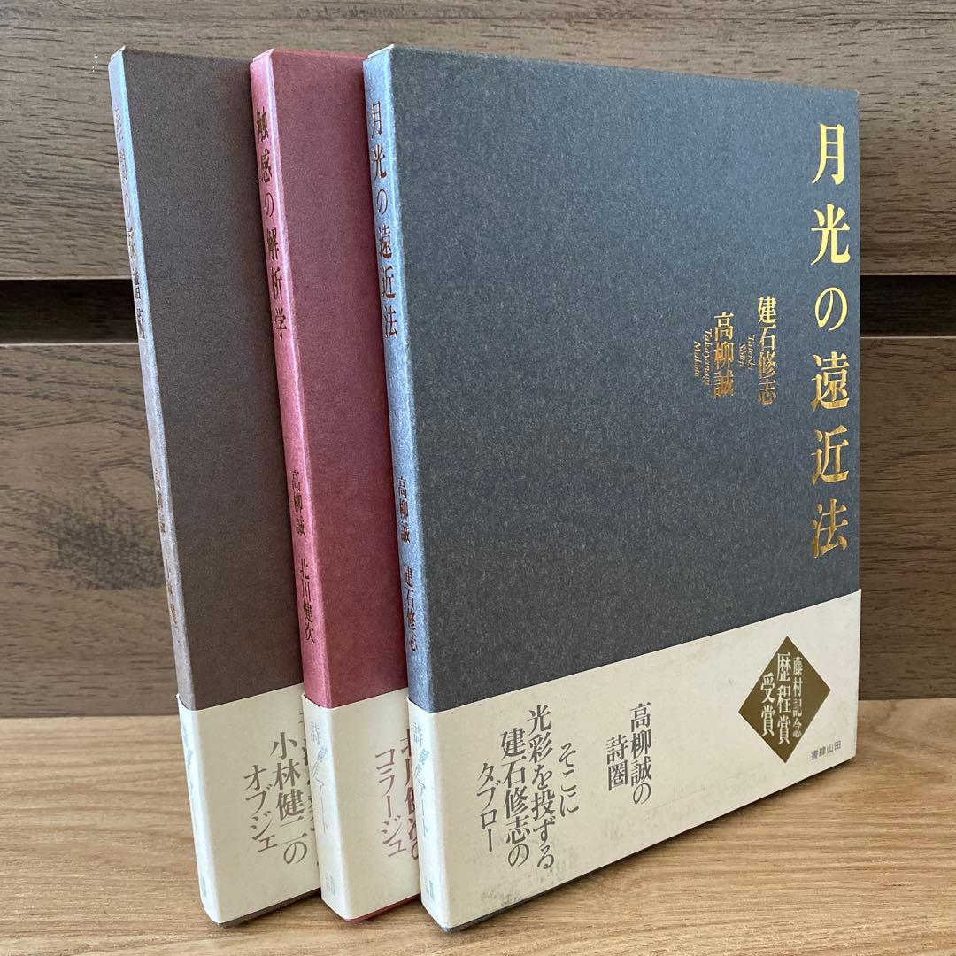 月光の遠近法　星間の採譜術　触感の解析学　高柳誠　詩　3冊セット