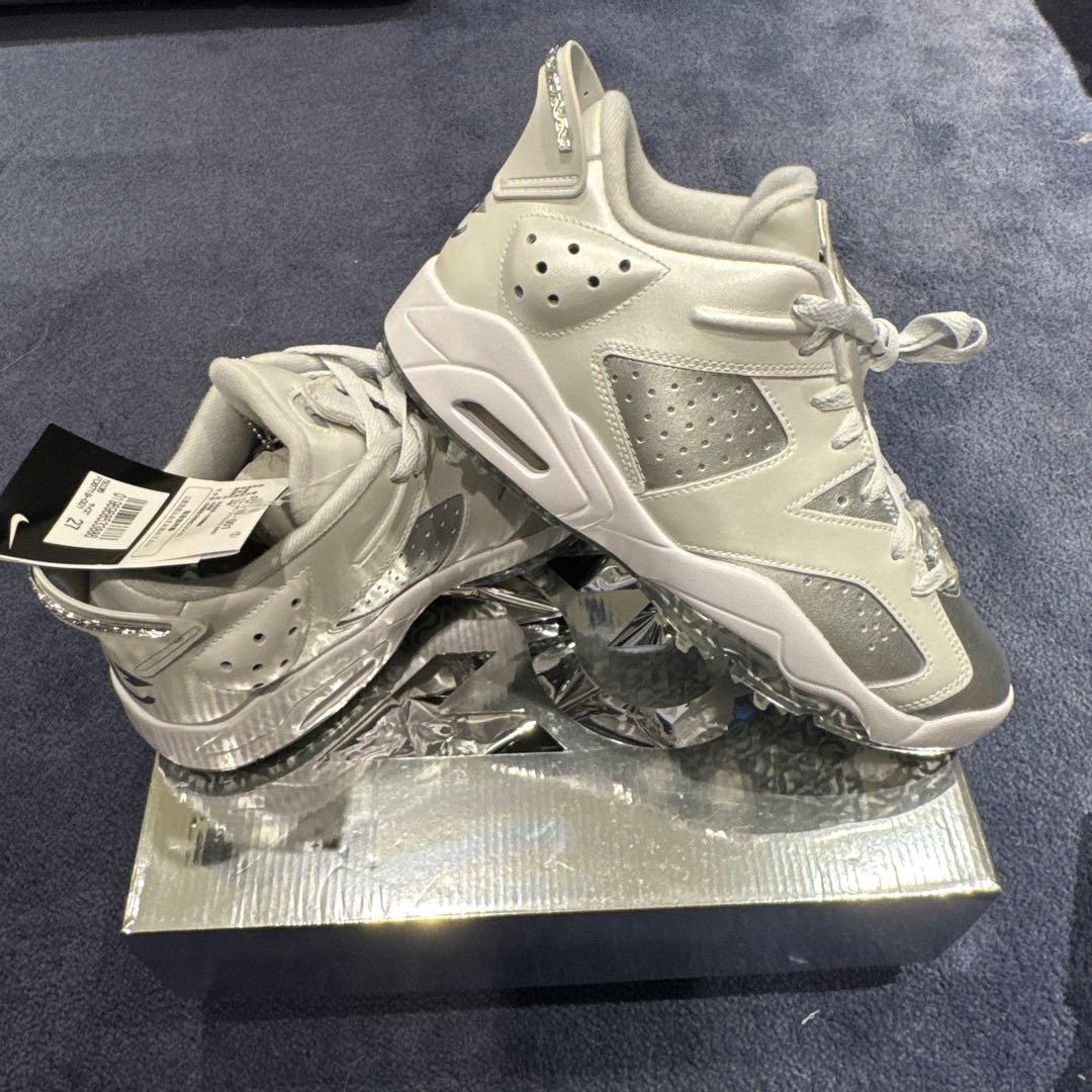 JORDAN RETRO6 GOLF 27cm ジョーダン6