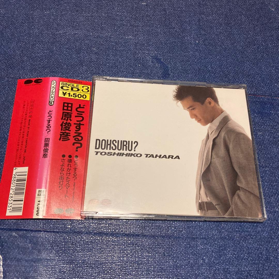 田原俊彦 .どうする？ シングル　邦楽CD アイドル