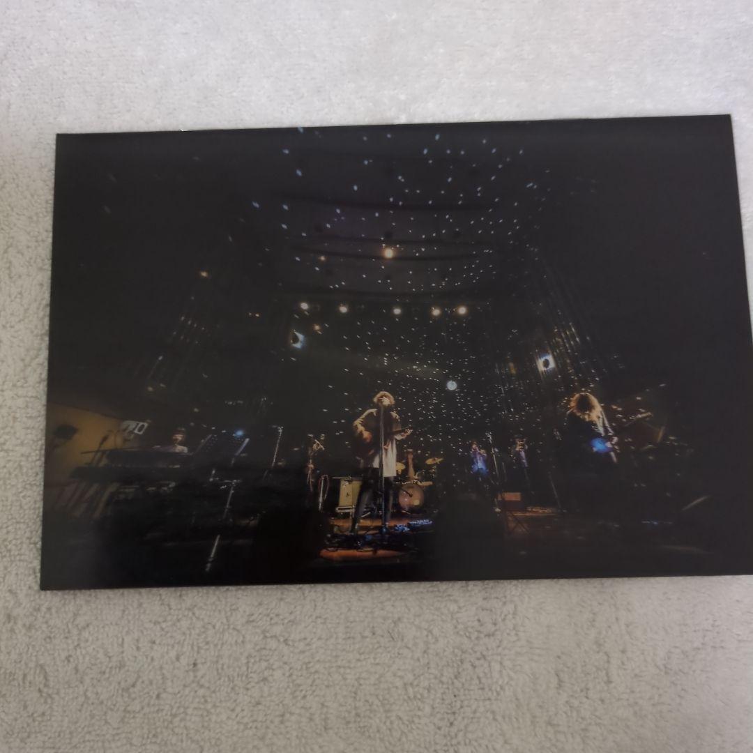 THE NOVEMBERS ROSES 2枚組 CD＋DVD