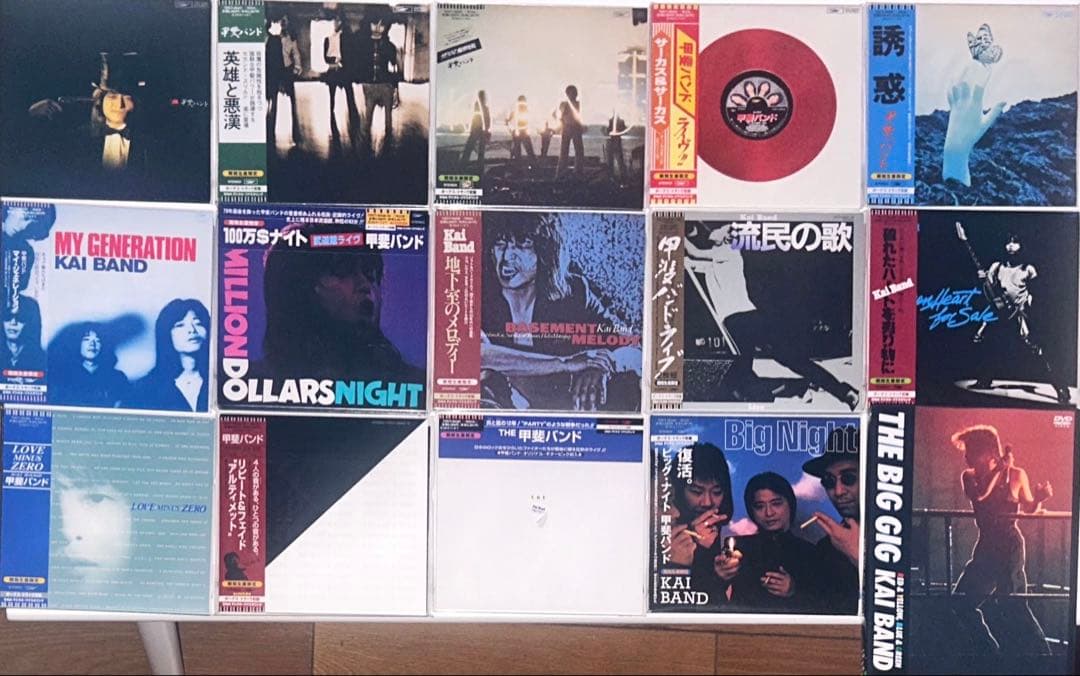 甲斐バンド 紙ジャケットシリーズ 14枚+THE BIG GIG DVD