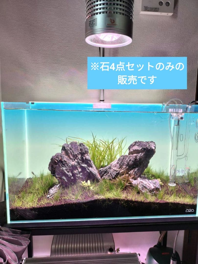 龍王石　4つセット　親石