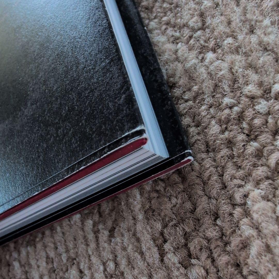 【初版・帯付き】Santa Lilio Sangre 緋いユリ 小島文美画集