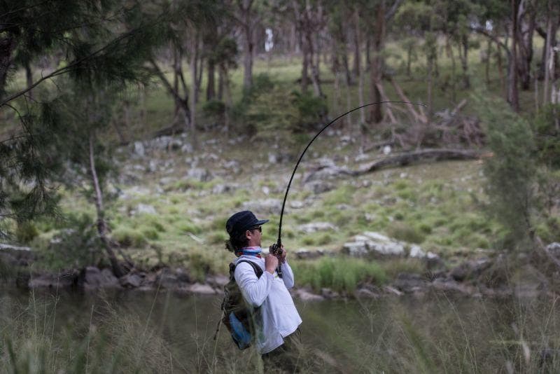 激安価格！ フィンチ　CANARIA 610M　4ピースロッド 完全未使用