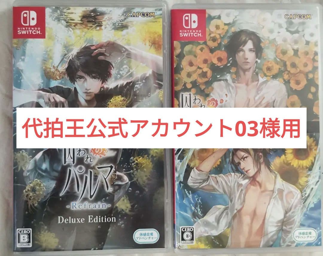 中古　代拍王公式アカウント03様用囚われのパルマ2点セット　動作確認済み