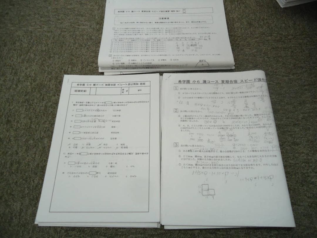 希学園　小6　灘コース　夏期合宿　　国算理テキスト　2019年度使用版
