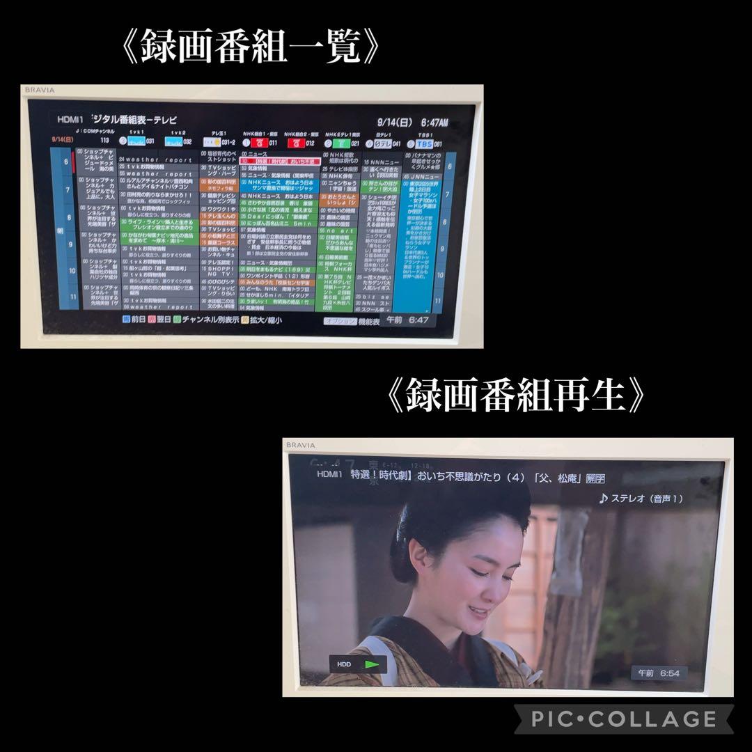 SONY BDZ-E500 ブルーレイレコーダー 500GB