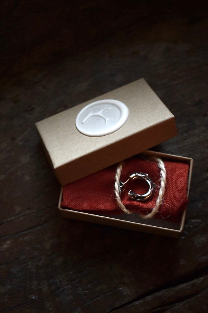 Pluie ピアス　退廃的 detaj iolom julius