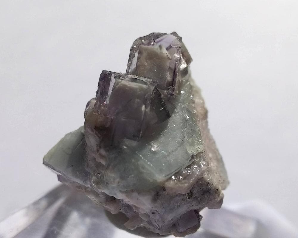 329 ポーセリンフローライト