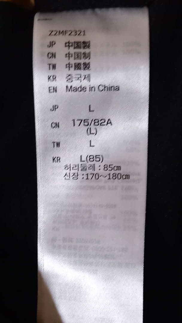 MIZUNOミズノ　希少カタログ外クルーモデル上下　サイズL