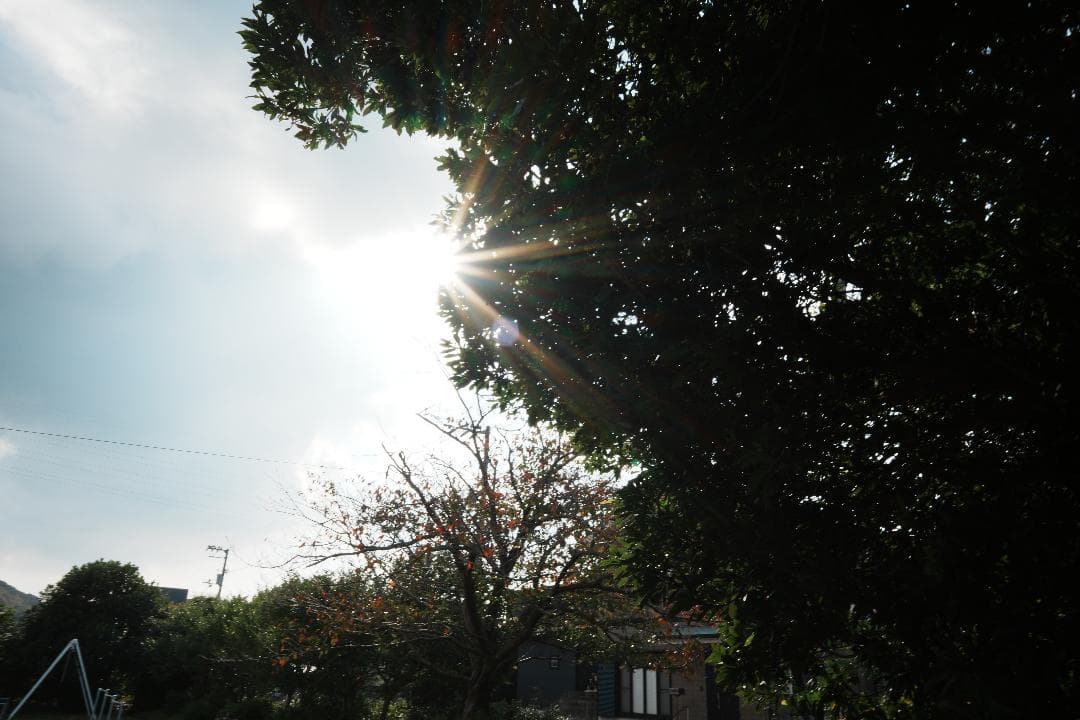 週末の記録にちょうどいい Samyang AF24mm F2.8 FE SONY