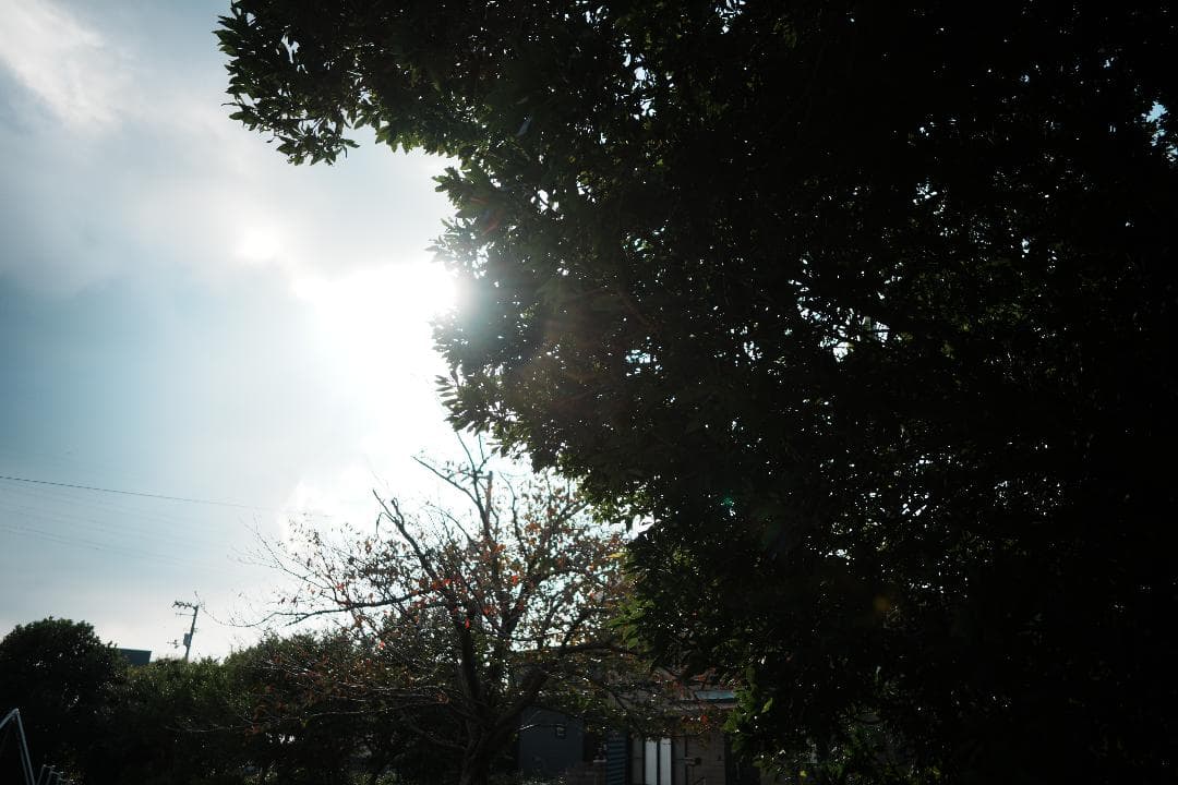 週末の記録にちょうどいい Samyang AF24mm F2.8 FE SONY